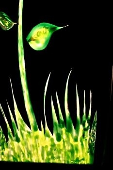 apprendre le cartonnage �tape par �tape